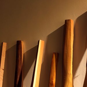 bowfire, BOWFIRE, Bogenschule, Fachhandel, Bogenparcours, Bogen kaufen, Zubehör, Bogenschießen, Bogenreisen, Bogenevents, Kiel, Schleswig Holstein, Deutschland, Bogenbau, Kurs, Workshop, Abendkurs, eigenen Bogen bauen, traditionell, Helmut Ritter,